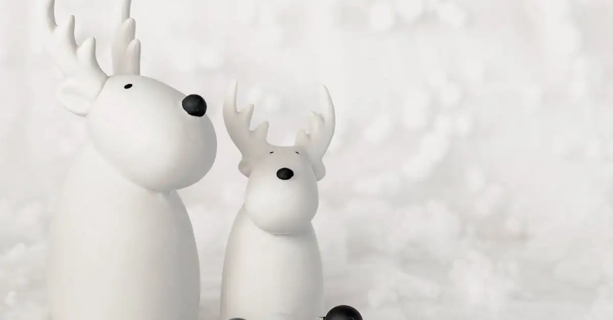 San's cadeau en woonaccessoire