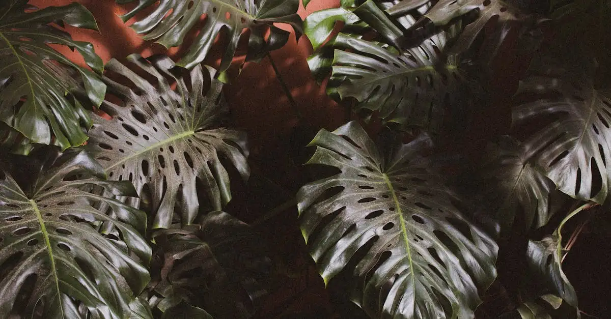 Woonaccessoires jungle